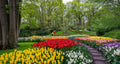 Keukenhof XX/XX/2027