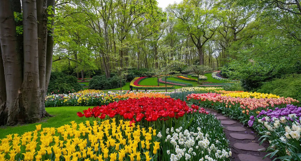 Keukenhof XX/XX/2027
